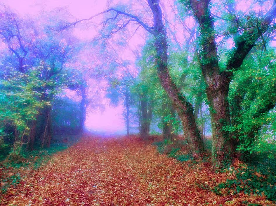 Осенние туманы.