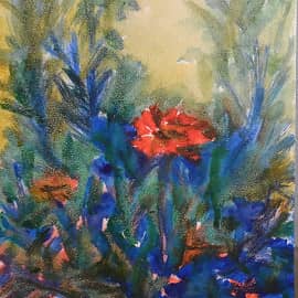 Дачная красавица