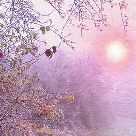 Холодный туман