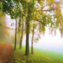 Осенний туман.