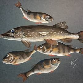 Карельский улов