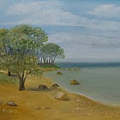 Финский залив