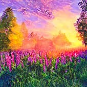 Цветы на рассвете.