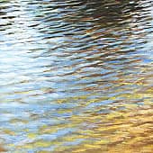 На водной глади