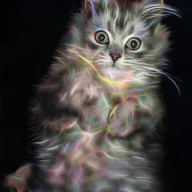 Животные 020