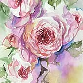 Акварель Розы