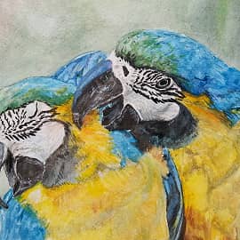 Попугайчики