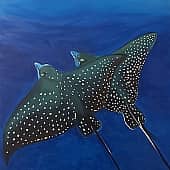 Для танго нужны двое.