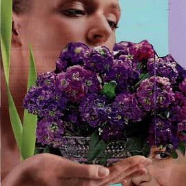 Аромат. Коллаж.