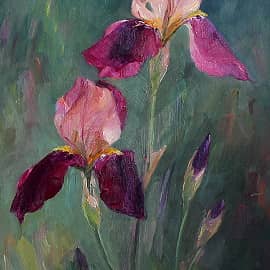 Ирисы