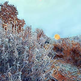 на рассвете-2