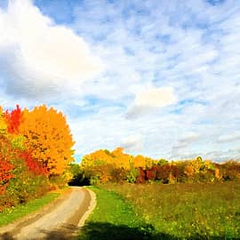 дорога в осень