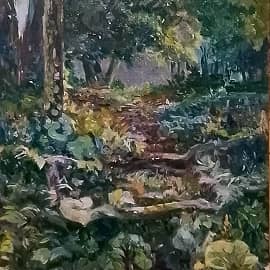 Свежесть летнего Леса