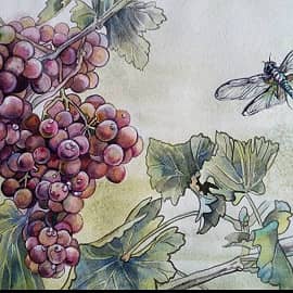 Стиль гунби. Копия с китайской живописи. Стрекоза