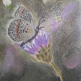 Не пора ли подкрепиться?