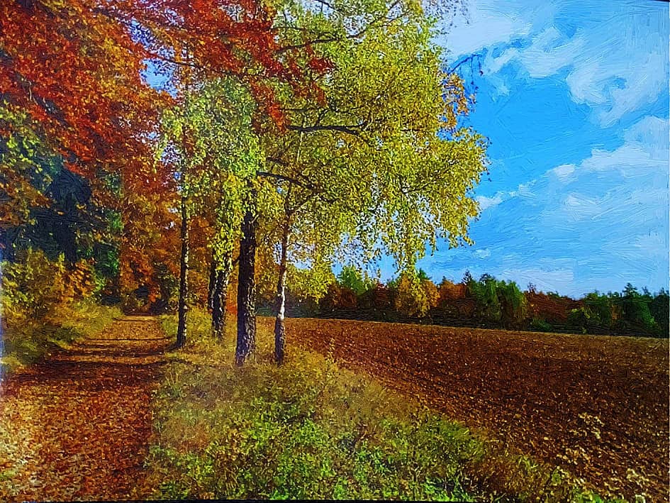 Осенняя аллея.