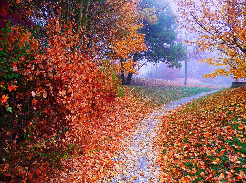 Осенние тропинки.