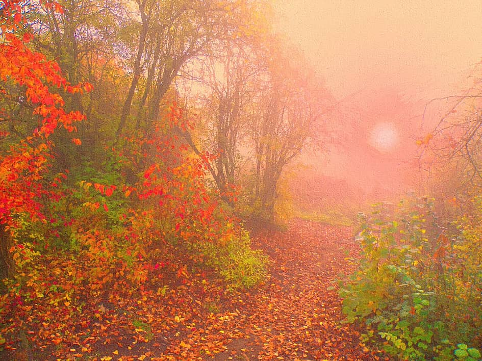 Осенние дорожки.