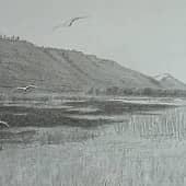 Белая ночь. Рисунок к картине Белая ночь