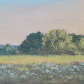 Июнь. Вечер.