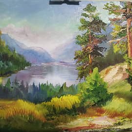 Красивый вид на краю леса