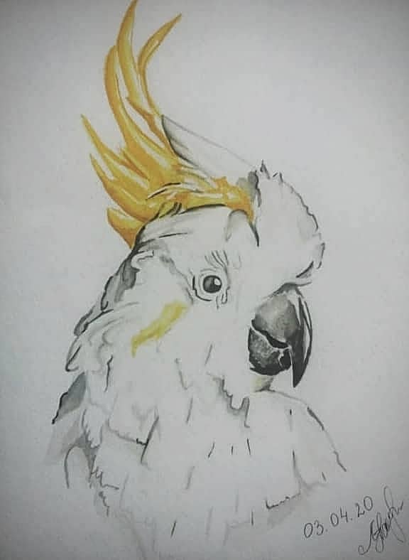 " Иннокентий "