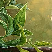 Лиза Рэй - Сад солнечных птиц (2), художник Лиза Рэй