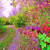 И листья как цветы.