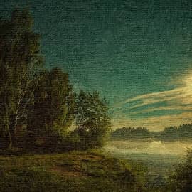 летняя ночь