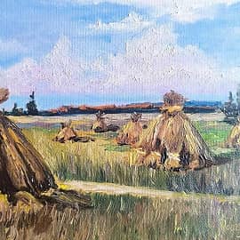 В поле