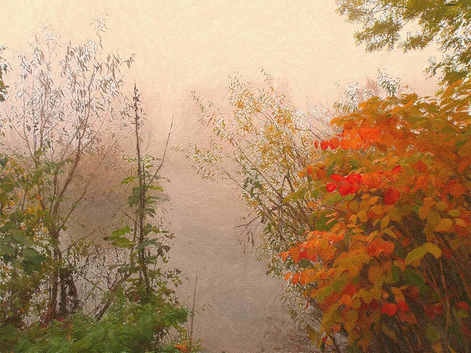 Букет в тумане.