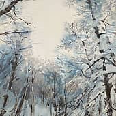 Зима в Филевском парке