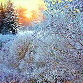 Вечерний свет.