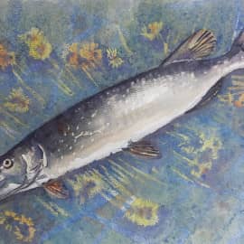 Рыба, которую потом отпустили...