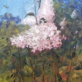 Куст сирени