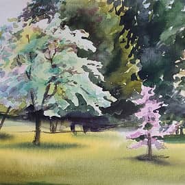 Сады цветут