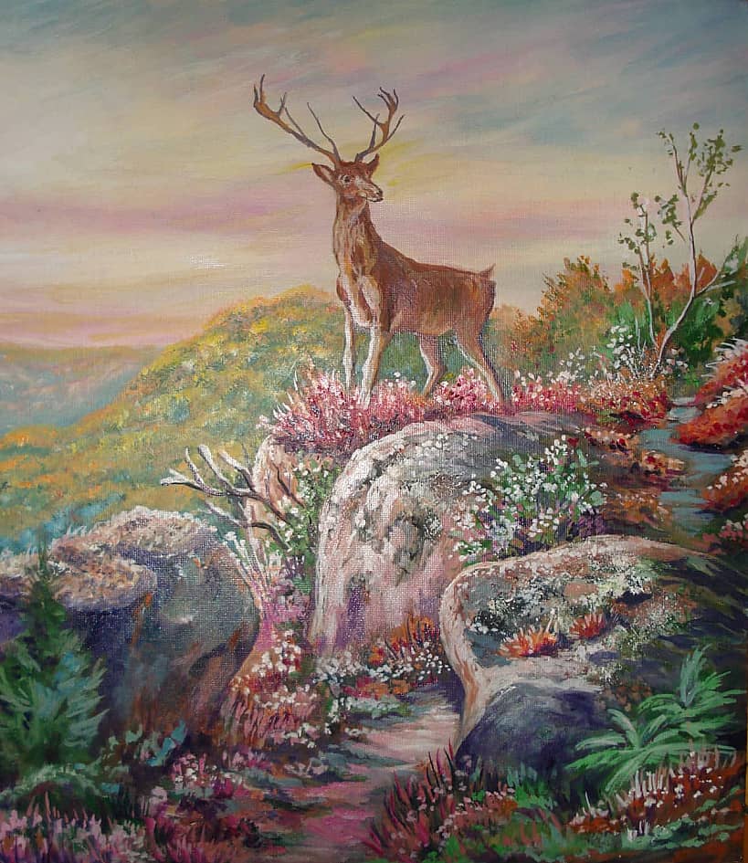 На вершине.