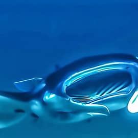 Подводный мир 003