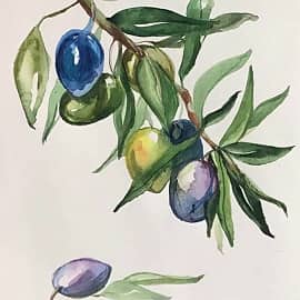 Оливковая ветвь