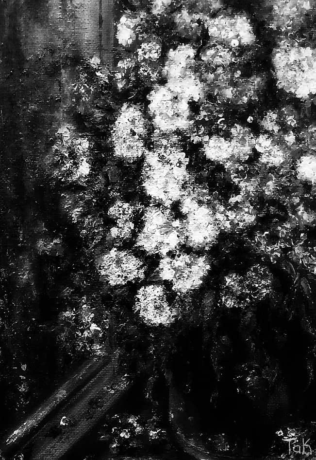 Цветы на окне