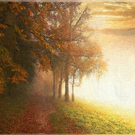 туманная дорога