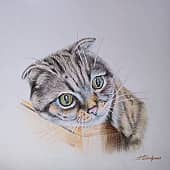 Царица дома 1