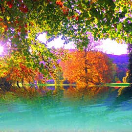 Солнечный берег.