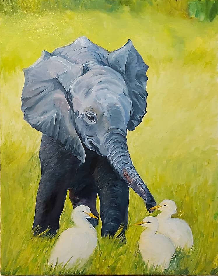 Давай познакомимся!