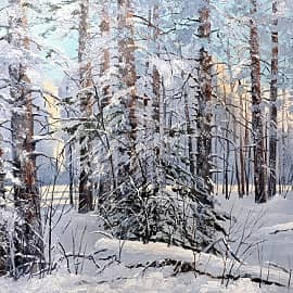 Палитра зимнего леса