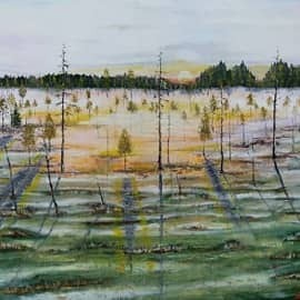 Утро на болоте