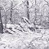 Зимняя Тишина