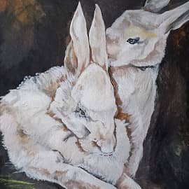 Кролики породы Белый великан.2вариант.