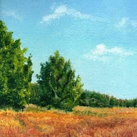 Картина дня