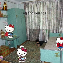 Год прошёл зря